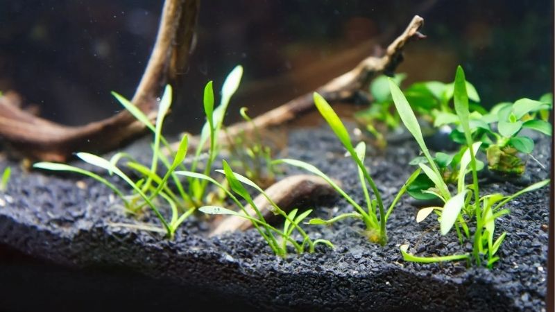 Grain Size, Depth and the Numbers That Decide