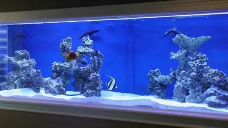 How a Marine System Actually Works