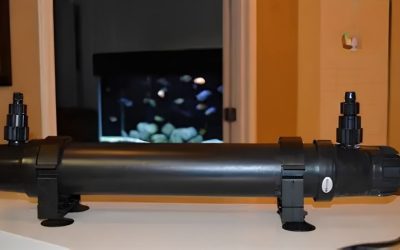 Aquarium UV Sterilizer Guide: Watts, Flow and Dwell Time