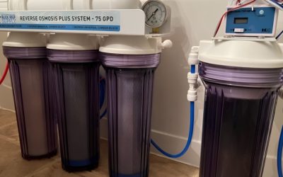 How Long Do RODI Filters Last Before Replacement: Best Guide