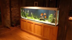How Much Does A Large Aquarium Setup Cost: Top Ultimate