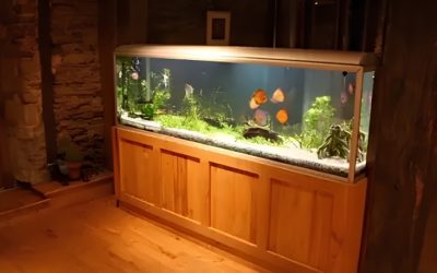 How Much Does A Large Aquarium Setup Cost: Top Ultimate