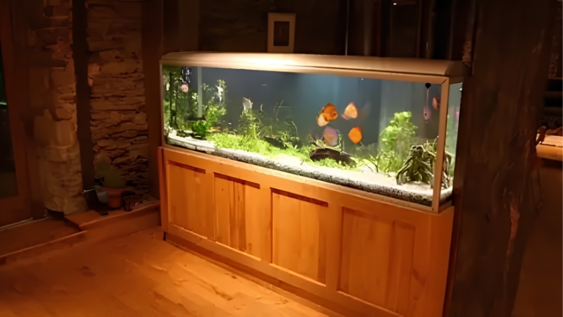 how much does a large aquarium setup cost
