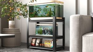 How Much Weight Can an Aquarium Stand Hold: Top Expert Guide