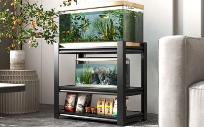 How Much Weight Can an Aquarium Stand Hold: Top Expert Guide