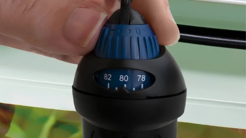 How Placement Moves Heat and the Numbers Behind It