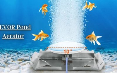 How to Choose a Pond Aerator: A Simple Step-by-Step Guide