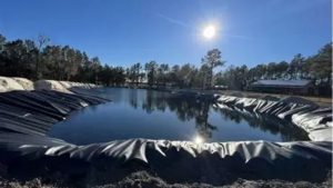 How to Choose a Pond Liner: Best Compared Guide for Beginners