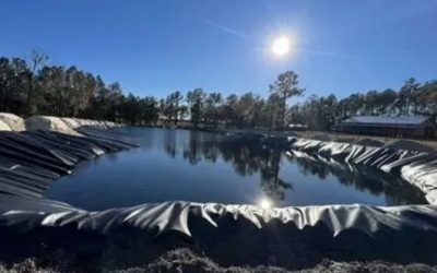 How to Choose a Pond Liner: Best Compared Guide for Beginners
