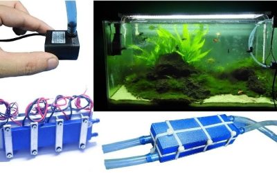 How to Choose an Aquarium Chiller: Trusted Expert Step Guide