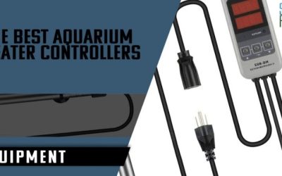 How to Choose an Aquarium Controller: Best Expert Shortlist