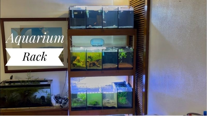 how to choose an aquarium rack