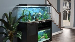How to Choose an Aquarium Stand: Best Expert Buying Guide