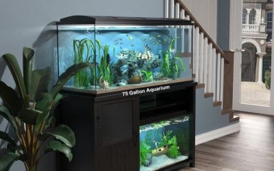 How to Choose an Aquarium Stand: Best Expert Buying Guide