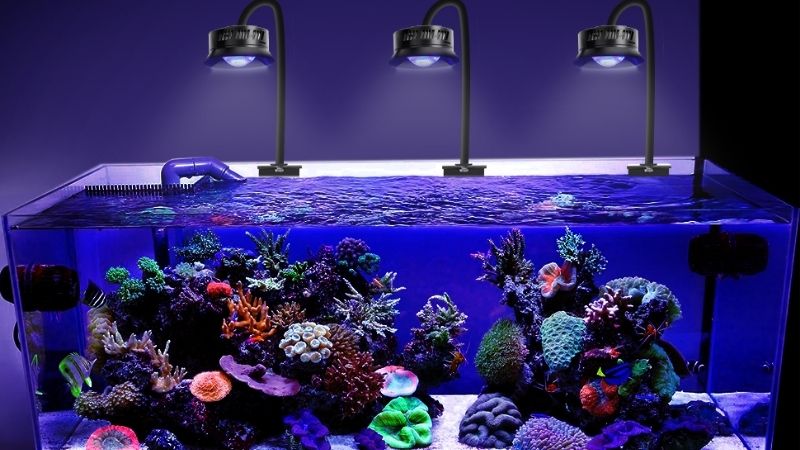 how to choose reef led light