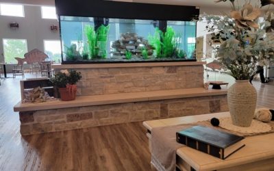 How To Level A Large Aquarium Stand Properly: Top Compared