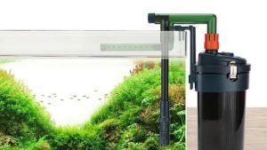 How to Prime a Canister Filter Correctly: Best Proven Way