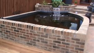 How To Set Up An Above Ground Koi Pond Step By Step: Trusted