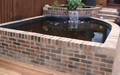How To Set Up An Above Ground Koi Pond Step By Step: Trusted