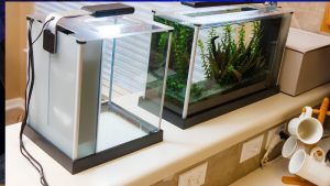 Hygger vs Fluval Aquarium Lights Compared: Key Differences