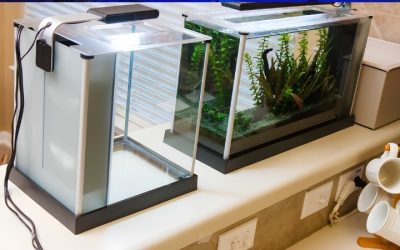 Hygger vs Fluval Aquarium Lights Compared: Key Differences