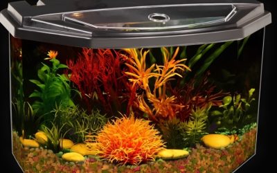 Koller Products vs Marineland Aquarium Kits: Compared Guide