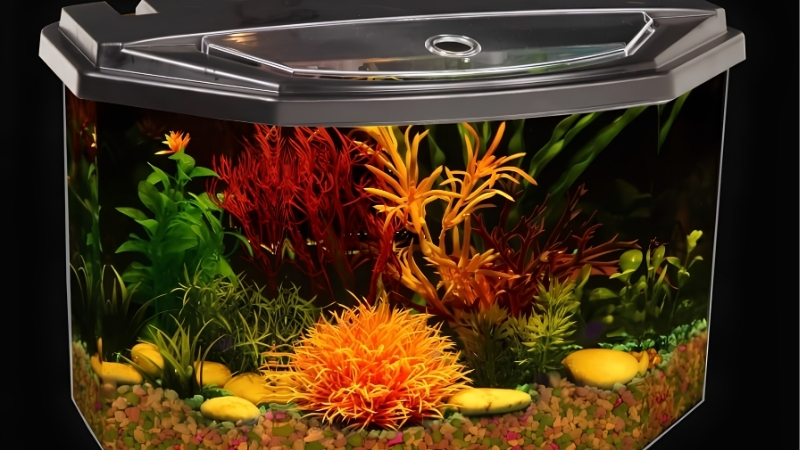 koller products vs marineland aquarium kits