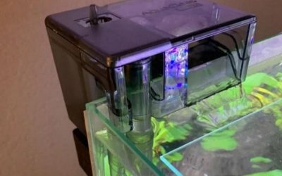 Best Filter for 20 Gallon Aquarium Setups: Sized Properly