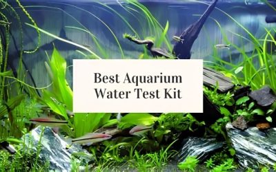 Best Aquarium Water Test Kit: Accuracy, Range and Value