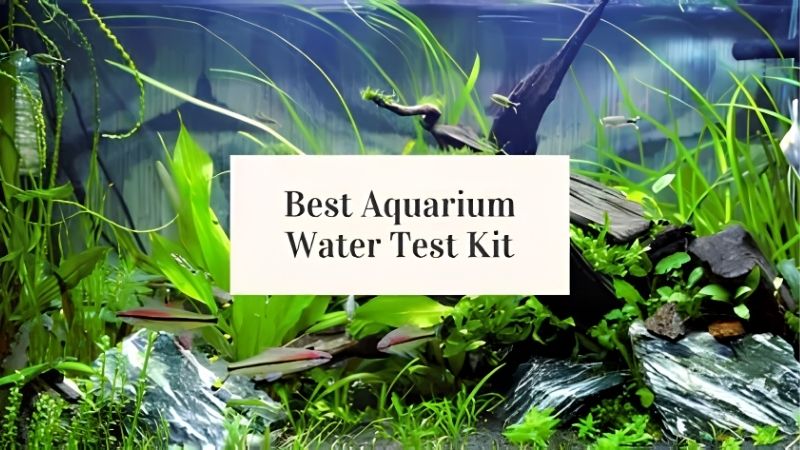 Matching Parameters to What the Tank Holds