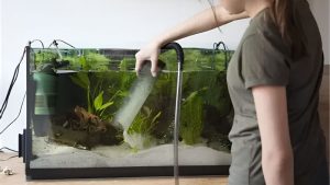 Best Aquarium Gravel Vacuum: Tube Size, Reach and Speed