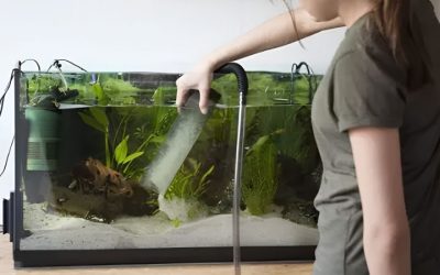 Best Aquarium Gravel Vacuum: Tube Size, Reach and Speed