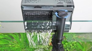 Aquarium Filter Not Pumping Water: Causes and Quick Fixes