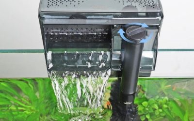 Aquarium Filter Not Pumping Water: Causes and Quick Fixes
