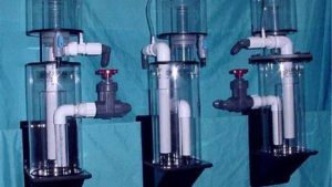 How to Size a Protein Skimmer for Your Tank Step by Step