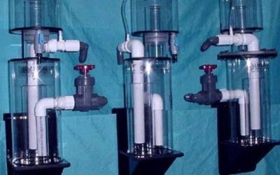 How to Size a Protein Skimmer for Your Tank Step by Step