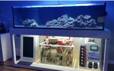 Can You Change Too Much Aquarium Water: Limits and Risks