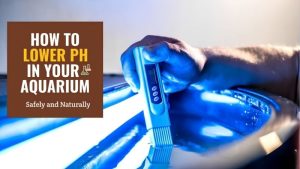 How to Lower Aquarium pH Safely: Methods That Actually Hold