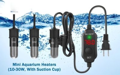 How Many Watts Aquarium Heater Do You Need by Tank Size