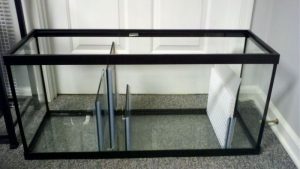 How to Size an Aquarium Filter: Turnover, Losses and Fit