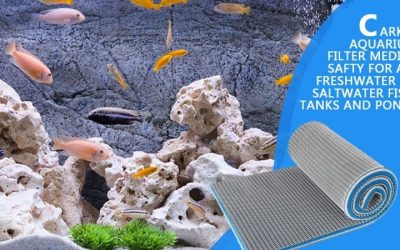 Aquarium Filter Media Order: Mechanical, Bio, Then Chemical