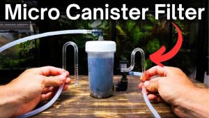 Canister Filter vs HOB Filter: Media, Noise and Real Cost