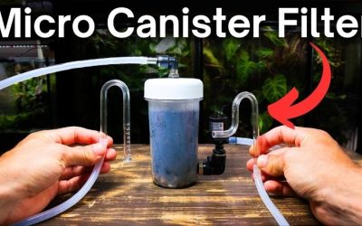 Canister Filter vs HOB Filter: Media, Noise and Real Cost