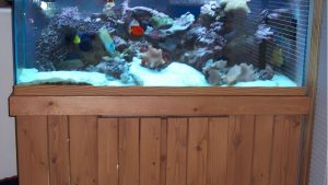 Metal vs Wood Aquarium Stand Pros and Cons: Top Expert Guide