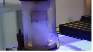 Best Quiet Protein Skimmer for Living Room Tank Reviews