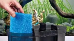 OASE BioMaster 2 Thermo vs Fluval FX6: Best Tested Guide