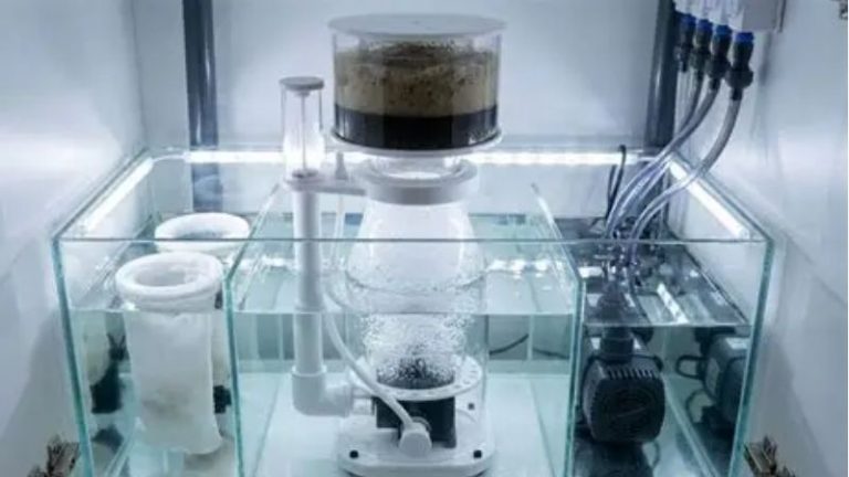 protein skimmer setup and tuning guide