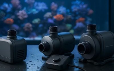Best Return Pump for Aquarium Sump: Compared by Numbers