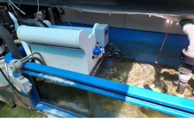 Roller Mat Vs Filter Sock Which To Use: Top Tested Guide
