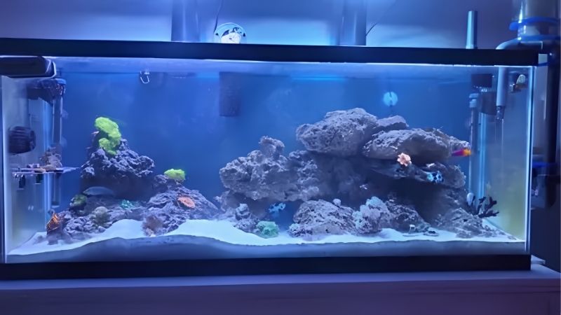 Same Rock, Different Starting Point